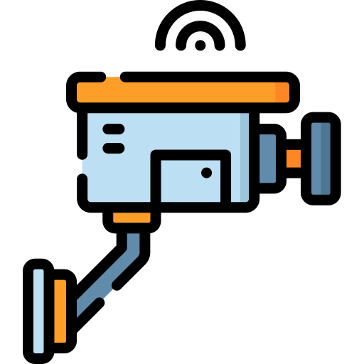 Telecamere di sorveglianza esterne presenti nella proprietà